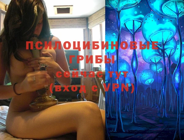 хмурый Балабаново